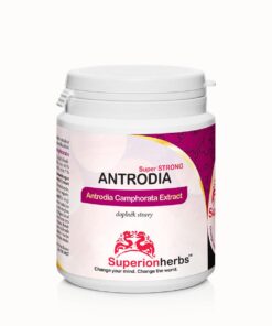 Antrodia Camphorata Extrakt 45% psch. i 7% triterpenów